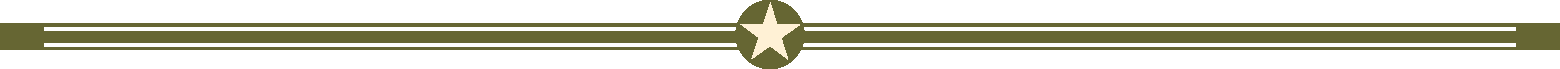 mapa-bitowa-w-strona-wersja-6